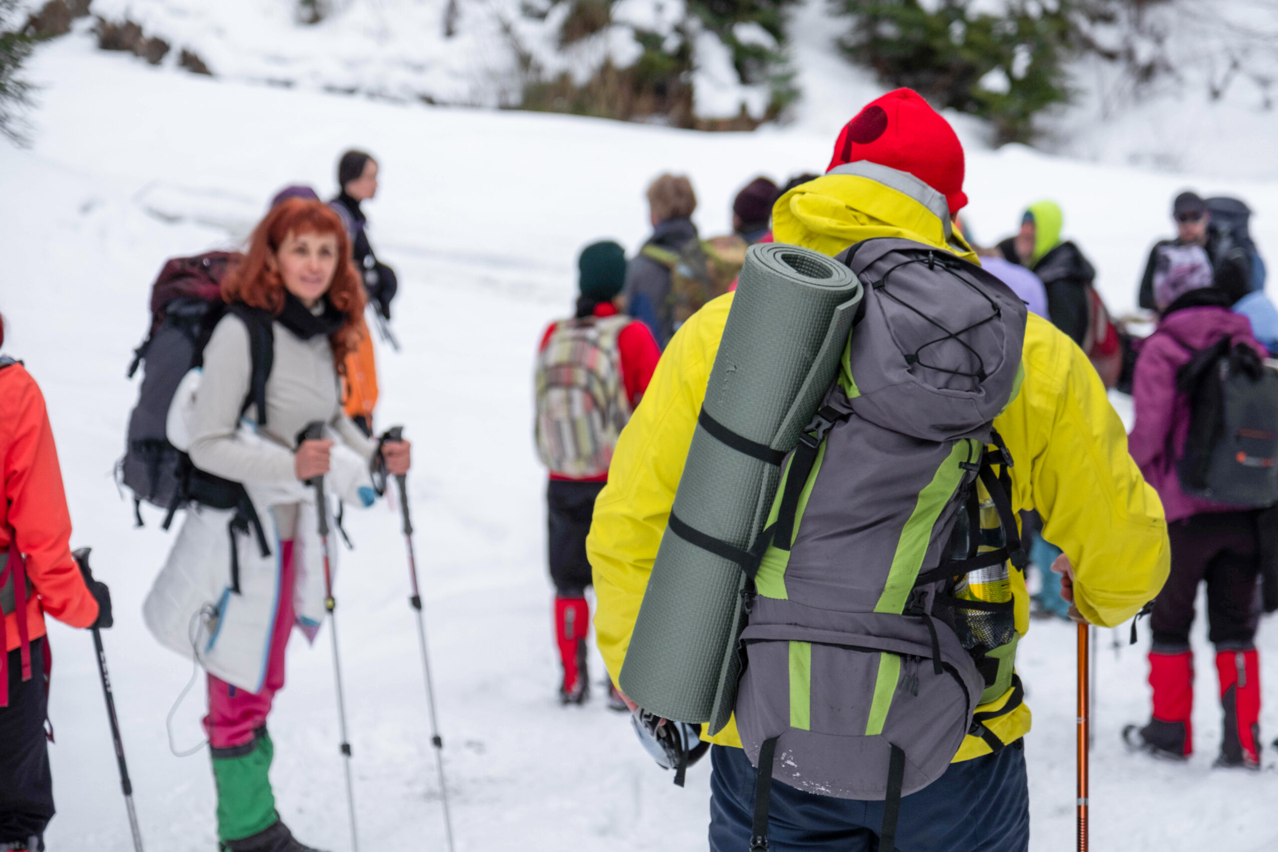 Best Time to Trek Kuari Pass: A Season-Wise Guide